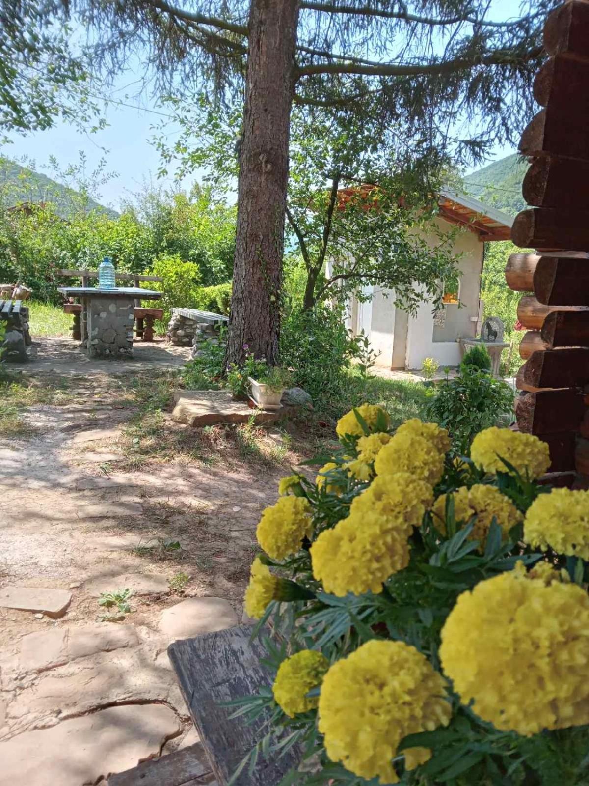 Villa Piramida Mjeseca à Visoko Extérieur photo